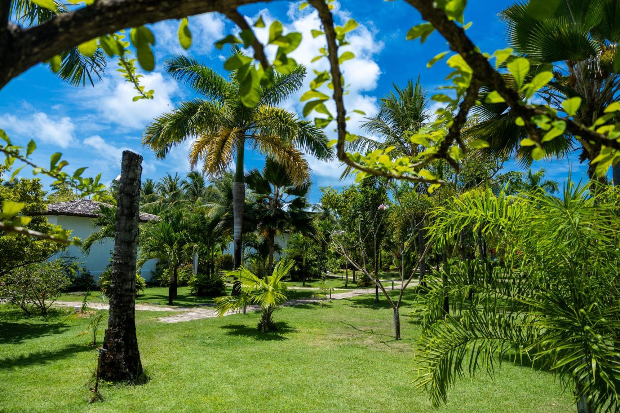 Pousada Aldeia Beijupira Pôrto de Pedras Exterior foto